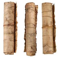 Three old scrolls tied with string displaying aged paper photo