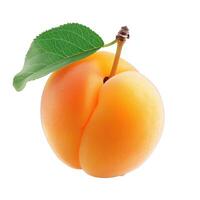 Fresh ripe apricot with leaf isolated on white background photo