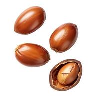 Argan nuts falling and rotating on white background photo