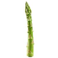 Single asparagus standing up on white background photo