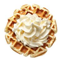 Delicious round waffle lying on whipped cream topping photo