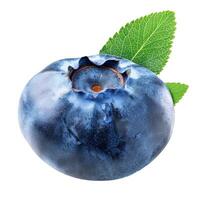 Single fresh blueberry with leaves isolated on white background photo