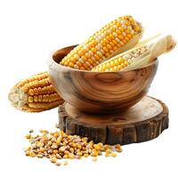 Fresh corn on the cob and kernels in wooden bowl displayed on tree trunk photo