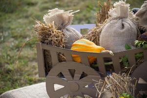 Rustic harvest display with gourds and burlap sacks photo