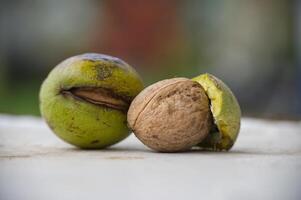Closeup of fresh walnut and seeds on a textured surface in natural light for autumn harvest concept photo
