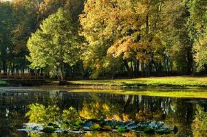 Autumn Reflections in a Serene Park photo