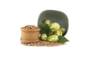 Fresh green hops and grains in rustic display isolated on white background photo