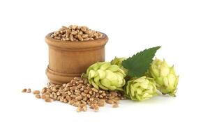 A wooden barrel surrounded by hops and wheat grains, set against an isolated white background photo