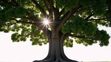 a powerful tree with deep roots and widereaching branches symbolizing growth strength and stability photo