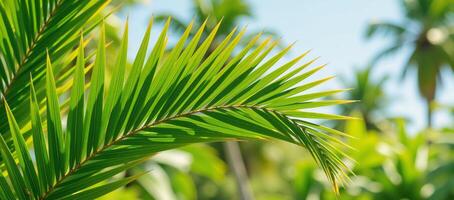 illustration showcasing a lush green palmtree backdrop against a tropical summer setting photo