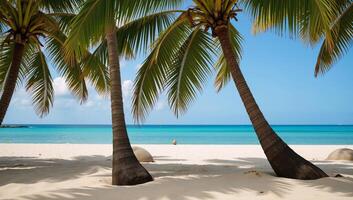 A tropical scene with palm tree patterns against a coconut backdrop photo