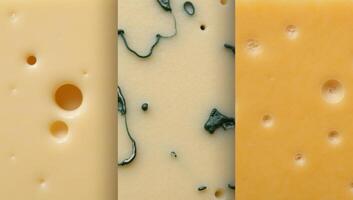 Showcasing various realistic cheese textures Swiss with its characteristic holes Blue with visible crumbling and the smooth surface of Gruyre photo