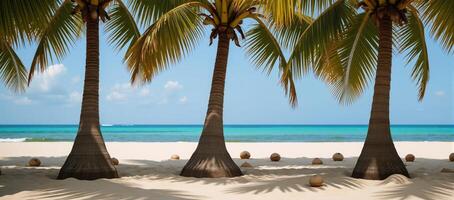 A tropical scene with palm tree patterns against a coconut backdrop photo