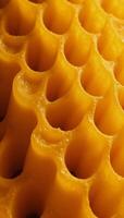 Vibrant abstract honey texture pattern as a lively business presentation backdrop photo