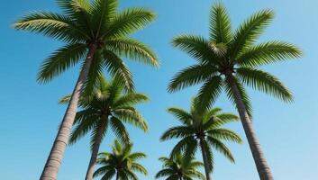 3Drendered image with palm trees as foreground subject against a backdrop landscape photo