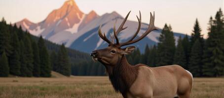 Stunning sunrise scene featuring an elk displaying its bugle call photo