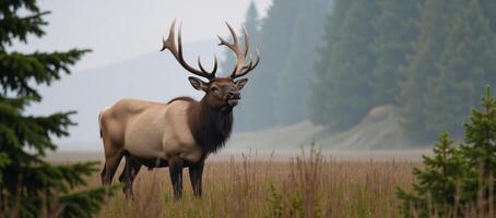 Digital painting depicting a majestic elk emitting a powerful call amidst the misty forest during rutting season photo