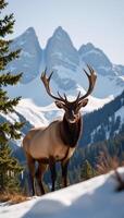 Elk portrait set against rugged mountain backdrop photo