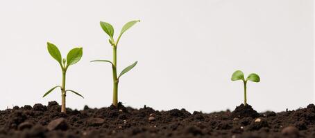 Isolated illustration of a tree sprouting from the earth created with intricate details and textures photo