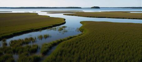 Savannah ecotourism depicted in abstract design highlighting Skidaway Island state park and marsh kayaking photo