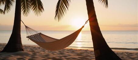 Hammock on a sunsetlit beach surrounded by palm trees photo