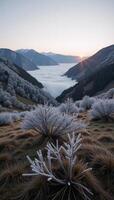 Foggy hoarfrosted mountain landscape evokes a mystical winter wonderland at dawn Carpathians Late Autumn photo