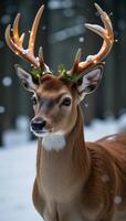 A festive image featuring a cute and playful deer adorned for Christmas photo