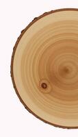 Rustic wooden round tabletop against minimalist backdrop photo