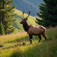 An Elk poses grandly amidst verdant greenery and tall woodland photo