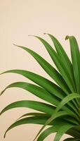Green textured palm leaf pattern evokes a relaxing tropical getaway atmosphere for vacation travel and wellbeing photo