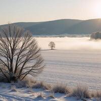Wintery rural landscape featuring a frosty morning scene with frozen mist over the farmlands photo