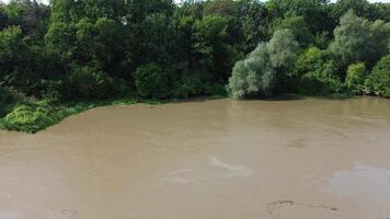 Flowing stream of dirty water in the river, river filled with dirty water after flood. Oder River, Poland video
