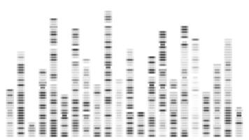 Dna data visualization. Medical genetic sequence pattern in black and white. Abstract antibody architecture for infographic analytics. X and Y gene learning and research illustration. Ideogram profile vector