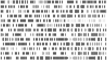 Dna genetic sequence map with chromosome data visualization in black and white. Medical analysis pattern. Abstract science texture with genome test infographic analytics. Mitochondrial mapping profile vector
