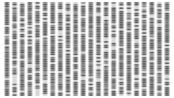 Chromosome data map. Dna sequence visualization pattern. White and black medical science graphic texture for analytics. Laboratory antibody architecture research illustration with marker design vector