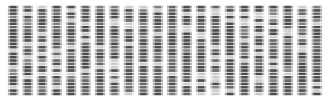 Dna sequence map. White genetic data visualization. Black medical gene pattern. Abstract medicine research architecture illustration. Laboratory marker mapping. X and y evolution test design. vector