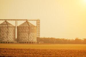 Silos and granary elevator. Modern agro-processing manufacturing plant with grain-drying complex. processing, drying, cleaning, and storing agricultural products in wheat, rye or corn fields photo