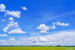 Bright Blue Sky with Fluffy White Clouds Over a Vast Green Field on a Sunny Day photo