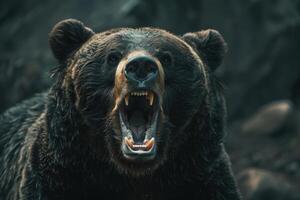 Large brown bear showing teeth and claws, roaring aggressively in nature photo