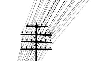 Silhouette of a Telephone Pole with Multiple Power Lines Against a White Background photo