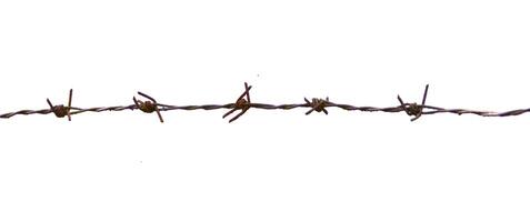 Close-Up of Rusty Barbed Wire Isolated on White Background for Industrial and Security Themes photo