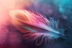 Vibrant colored feather on abstract background photo