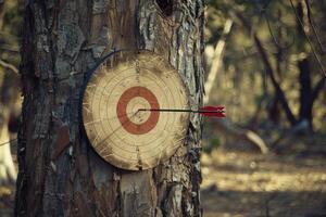 Red arrow hitting target center on a tree in forest photo