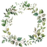 floral branch and minimalist flowers in wreath borders and frame in watercolour style isolated on transparent background. png