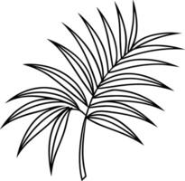 A Journey with Palm Leaves vector