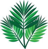The Symbolism of Palm Leaves vector
