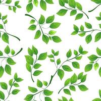 A seamless pattern featuring lush green leaves of various shapes on a clean white background. illustration vector