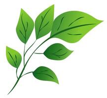 features a green leaf branch with various leaf shapes, showcasing a smooth graphic style. illustration vector