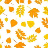 A seamless pattern featuring various autumn leaves in shades of orange and yellow on a white background. illustration vector