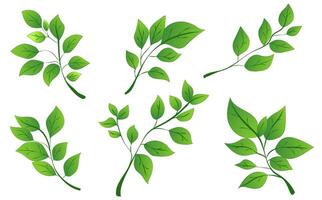 A collection of green leaves arranged in different positions. The graphic style is vibrant and flat. The background is plain white. illustration vector
